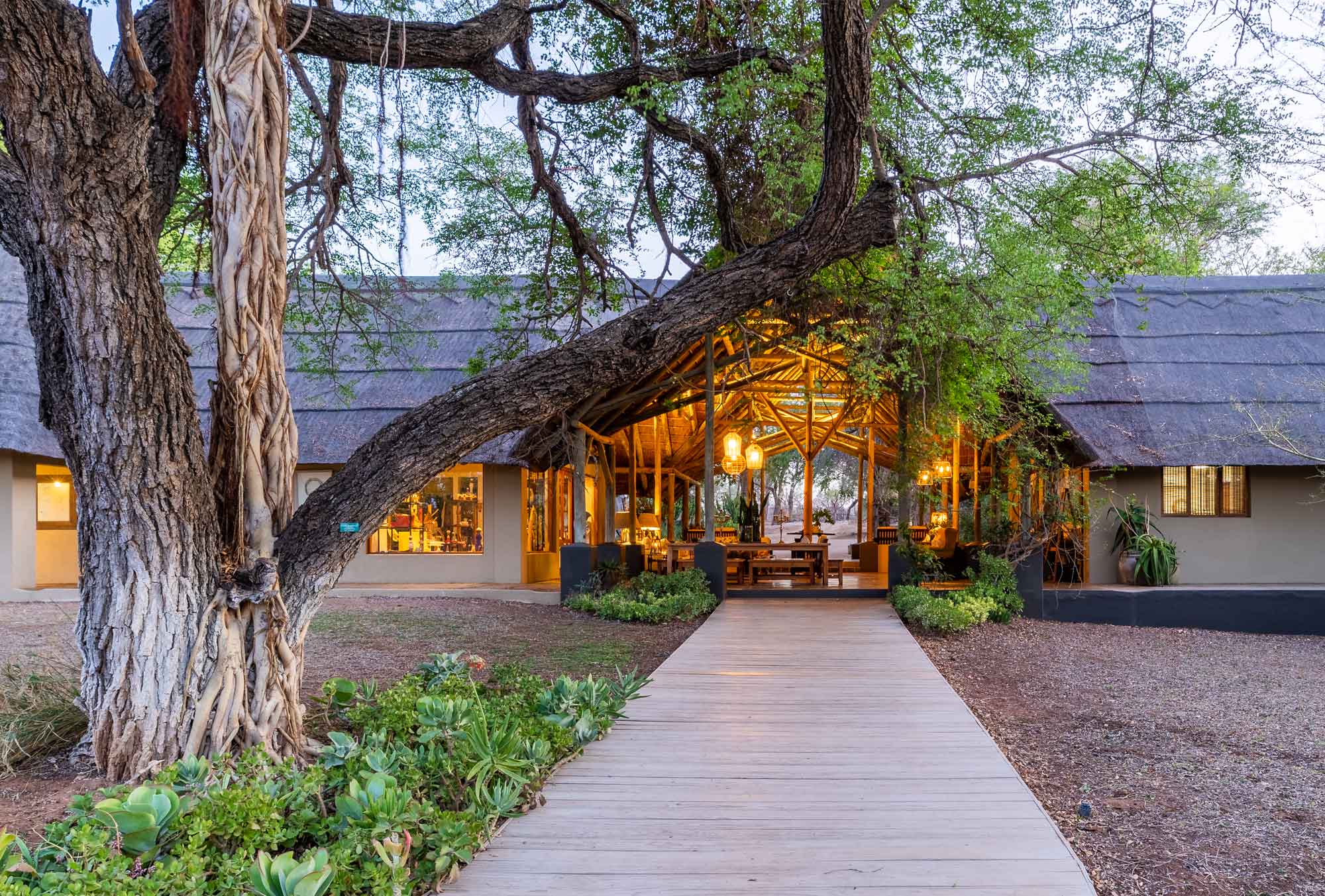 Thornybush